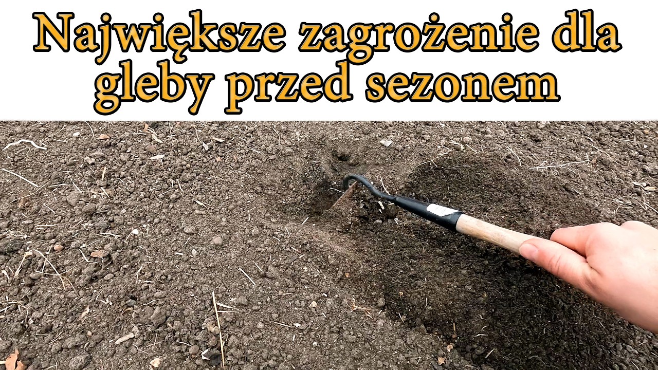 Największe zagrożenie dla gleby w szklarni przed sezonem wegetacyjnym