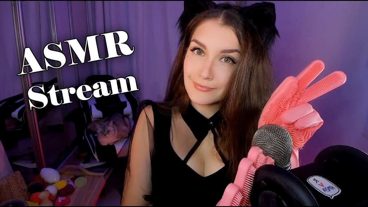 Asmr stream. Kitty Klaw ASMR стрим. АСМР стримеры. Charodeika ASMR новый стрим. АСМР стрим превью.