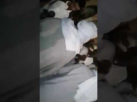 دندون غرداية