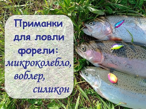 приманки для ловля