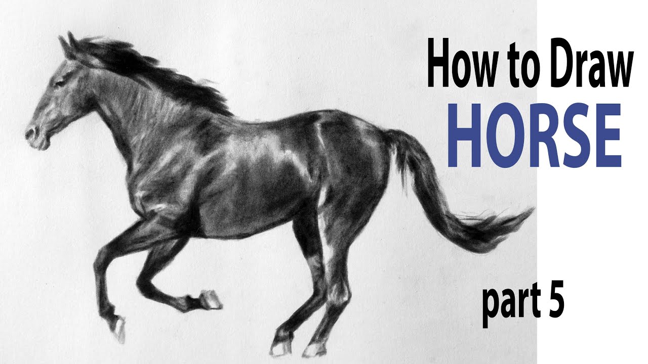 Featured image of post Unfinished Horse Drawing Meme Generator Our plot generator contains a suite of different tools for example engines that write blurbs movies and short stories