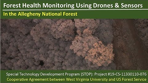 Forest Health Monitoring with Small UAS (drones)