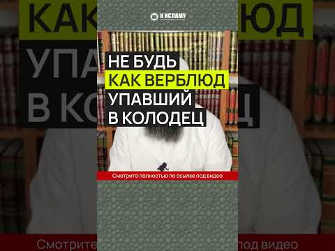 Не будь как верблюд, упавший в колодец