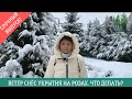 СРОЧНЫЙ ВЫПУСК. Ветер снёс укрытия на розах. Что  делать? Питомник 🌹 и 🌲 Е. Иващенко