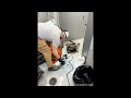 Commercial Drain Cleaning with Doctor Drain: Keeping Your Business Flowing Smoothly