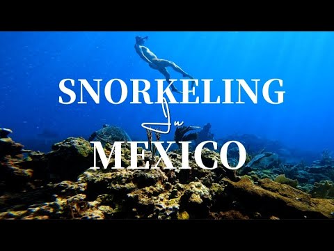 Video: The Best Places to Go Snorkeling in Cancun