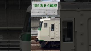 JR東日本 東海道本線 ←185系B6編成 臨時特急「185」送り込み回送 (海側・鉄道サイドビュー) 【JR EAST 2023.8 / TRAIN SCAN】