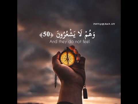 استوريهات قرآن سورة النمل و م ك ر وا م ك ر ا و م ك ر ن ا م ك ر ا و ه م ل ا ي ش ع ر ون 50