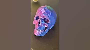 3d printed skull model