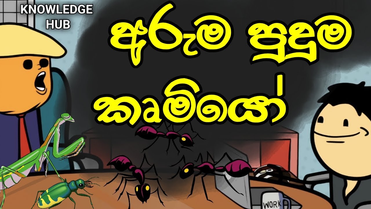 අරුම පුදුම කෘමියෝ ||  Dangerous Insects || Knowledge Hub