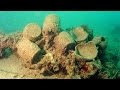 A Tang Shipwreck and Early Trade in Asia