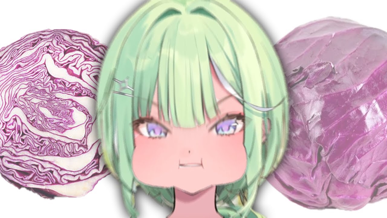 어어 양배추 빨개진다