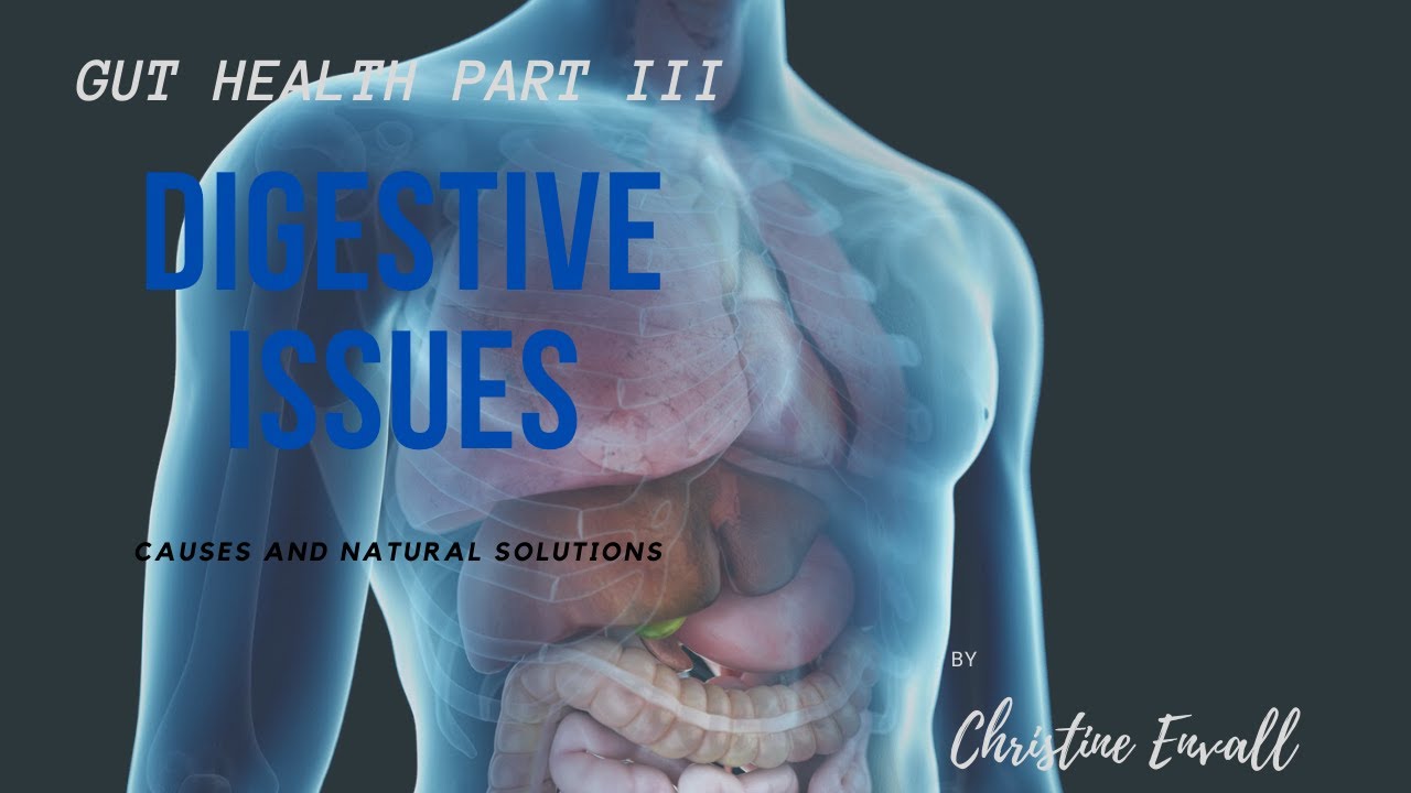 GUT HEALTH PART III; WHAT CAUSES POOR DIGESTIVE HEALTH YouTube