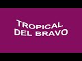 Descargar TROPICAL DEL BRAVO CUMBIAS MIX PARA BAILAR - DJ Rogelio Martinez Descargar TROPICAL DEL BRAVO CUMBIAS MIX PARA BAILAR - DJ Rogelio Martinez
