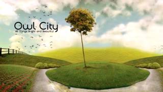 Owl City - Plant Life (Instrumental Cover)