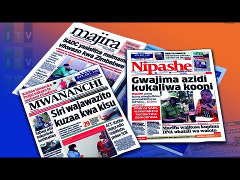Video: Vipepeo Wangapi Wanaishi