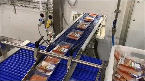 00518 BluePrint Automation (BPA) Case Packer  Wraparound 200