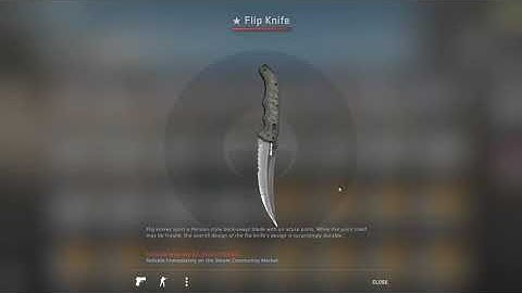 Unboxing Flip Knife #shorts #csgo