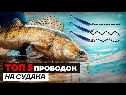 Как ЛОВИТЬ судака ЭТОЙ ОСЕНЬЮ? Лучшие проводки для ловли судака на спиннинг с берега и с лодки!