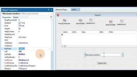 PESQUISA COM DBLOOKUPCOMBOBOX - DELPHI 10.3
