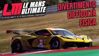 COM'E' LA FISICA e la PRATICITA' di LE MANS ULTIMATE?