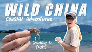 We Found Wild Crabs On This Remote Chinese Island 🦀