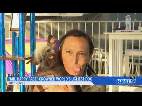 Mr. Happy Face crowned World's Ugliest Dog