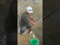 Fish 🐠#tiktokvideo #viral #fishing