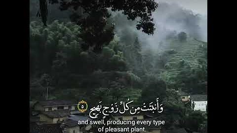 وترى الارض هامدة فإذا انزلنا عليها الماء /القارئ عبدالرحمن باجري