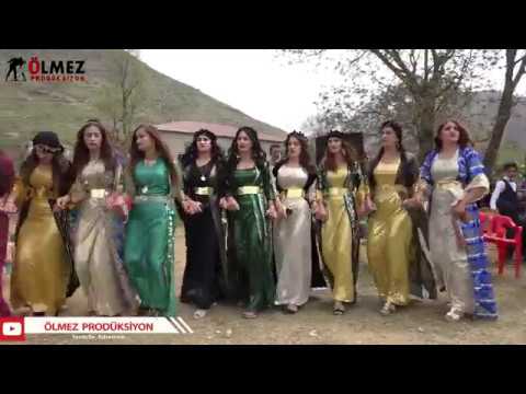 ZEYDAN KESİRE DÜĞÜNÜ BOTANİ ANDAÇ ELEMUN ŞİYAR BERWARİ