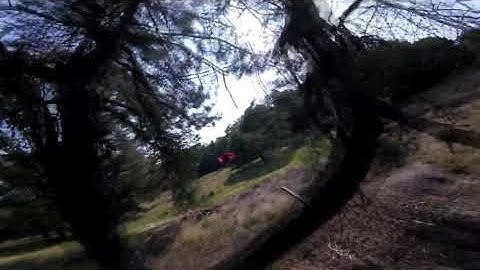 Tree Gap Crash - FPV Drone