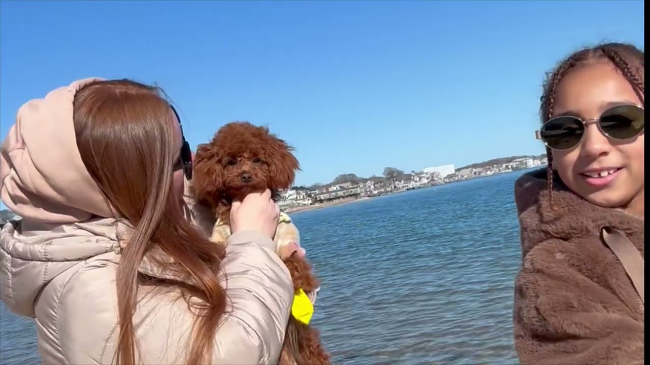 Мы просто вышли погулять… и случилось счастье