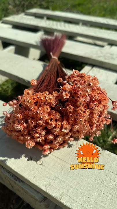 Style Bulk Dried Flower Bunches & Pampas Grass Like a Pro 🌾 | Dried Flowers Decor