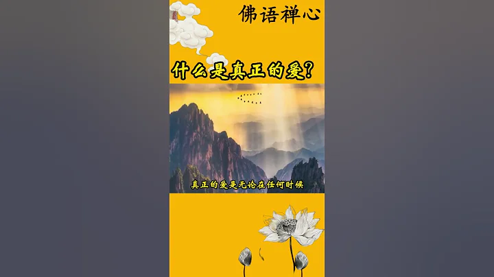 什么是真正的爱？ - 天天要闻
