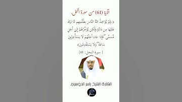 الآية (61)من سورة النحل// القارئ الشيخ ياسر الدوسري.