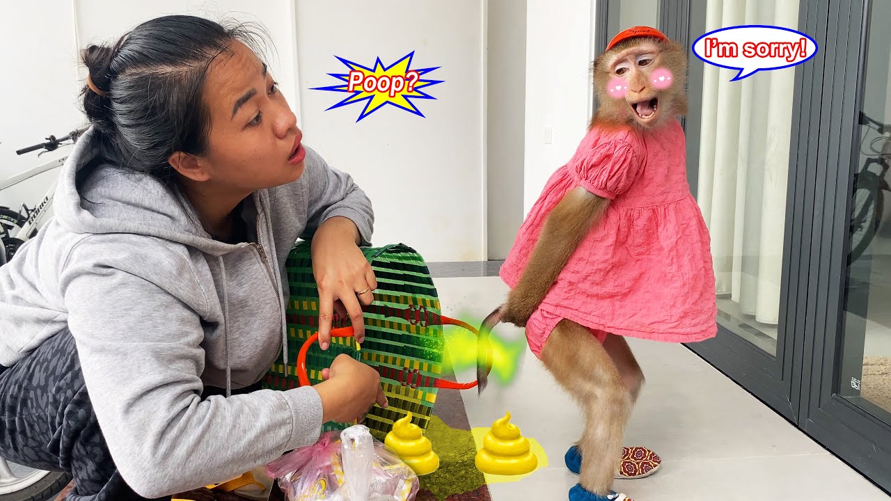 Обезьянка Лили смутилась и нагадила в корзину для покупок своей мамы, а концовка была такой смешной.