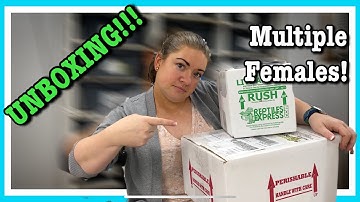 UNBOXING NEW BALL PYTHONS! Rice Reptiles and Rymel Reptiles | Reptile Unboxing