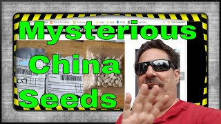 Mystery Seeds From China Being Mailed To USA Residents In 3 States Unsolicited  - Breaking News