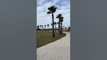 Что посмотреть в Сочи? 🦢🌴 Орнитологический парк | Адрес и стоимость в описании | 24.02.23 #shorts