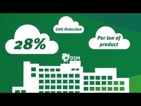 DSM Global Climate Action