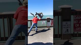 Hero Frees Pelicans Beak