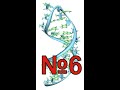 Біологія 9 клас. Нуклеїнові кислоти. Властивості та функції РНК