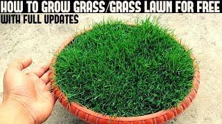 How To Grow Grass At Home For Free (With Full Updates) screenshot 5