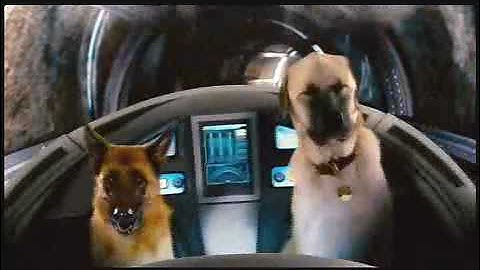 『キャッツ&ドッグス 地球最大の肉球大戦争』予告編