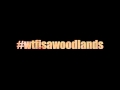 Woodlands at night  release teaser