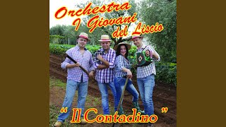 Video thumbnail of "Orchestra I Giovani del Liscio - Le parole che non ti ho detto mai"