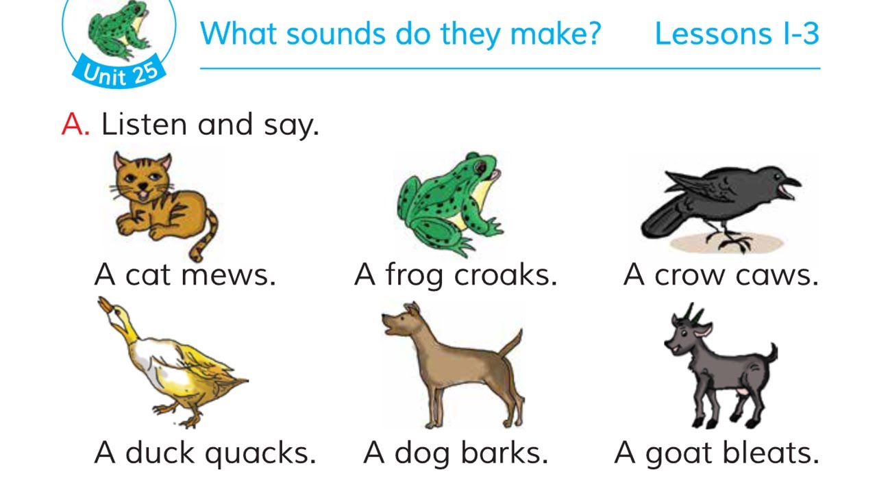 Что такое юниты в английском. Звук what. What Sounds animals make. What Sound do Foxes make. 25 lessons