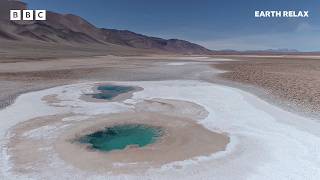 Earth’s Hidden Places | Peaceful Landscapes & Wildlife Ambience | BBC Earth Relax Wealth