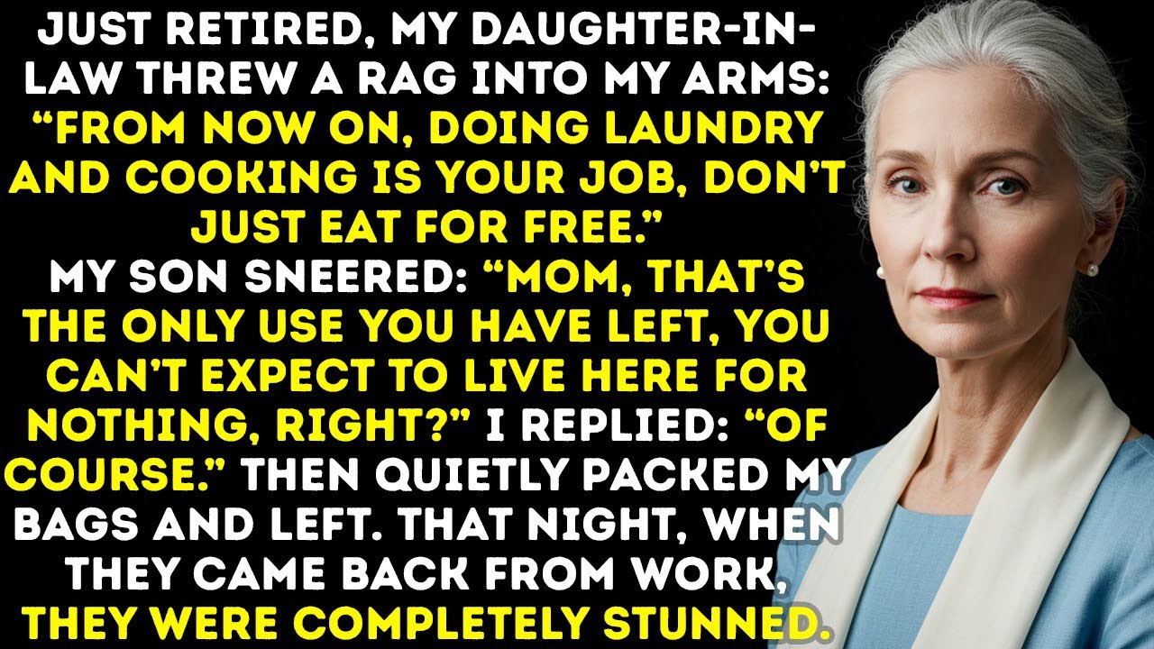“From Now On, Cooking And Laundry Are All Yours—Stop Freeloading.” My Daughter-In-Law Threw A Rag.