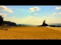 [PV]  Don't Be Afraid   / Rippy